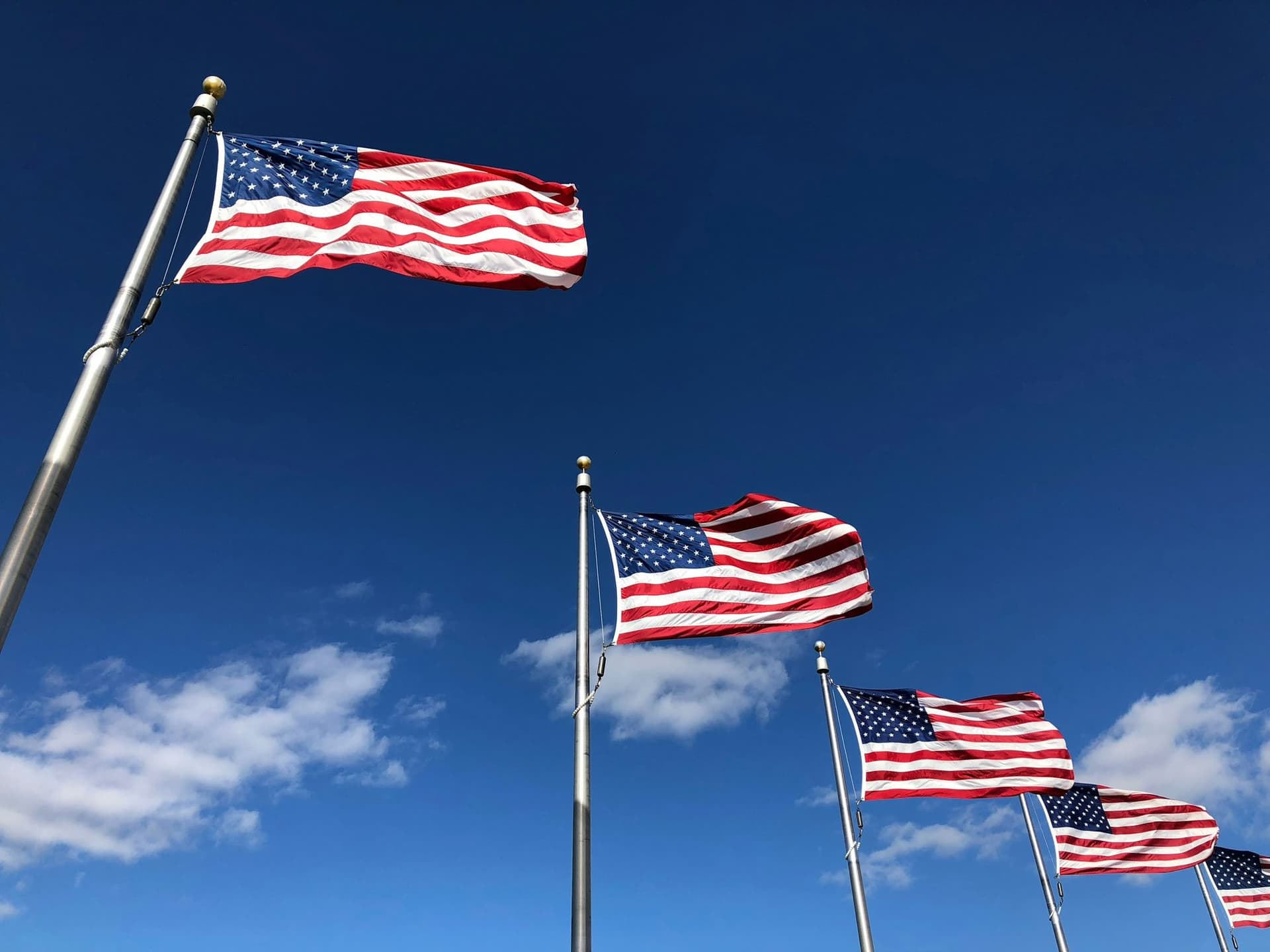 American flags waving in the wind